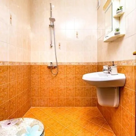 Center Aleko Konstantinov