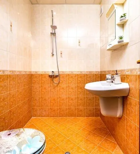 Center Aleko Konstantinov